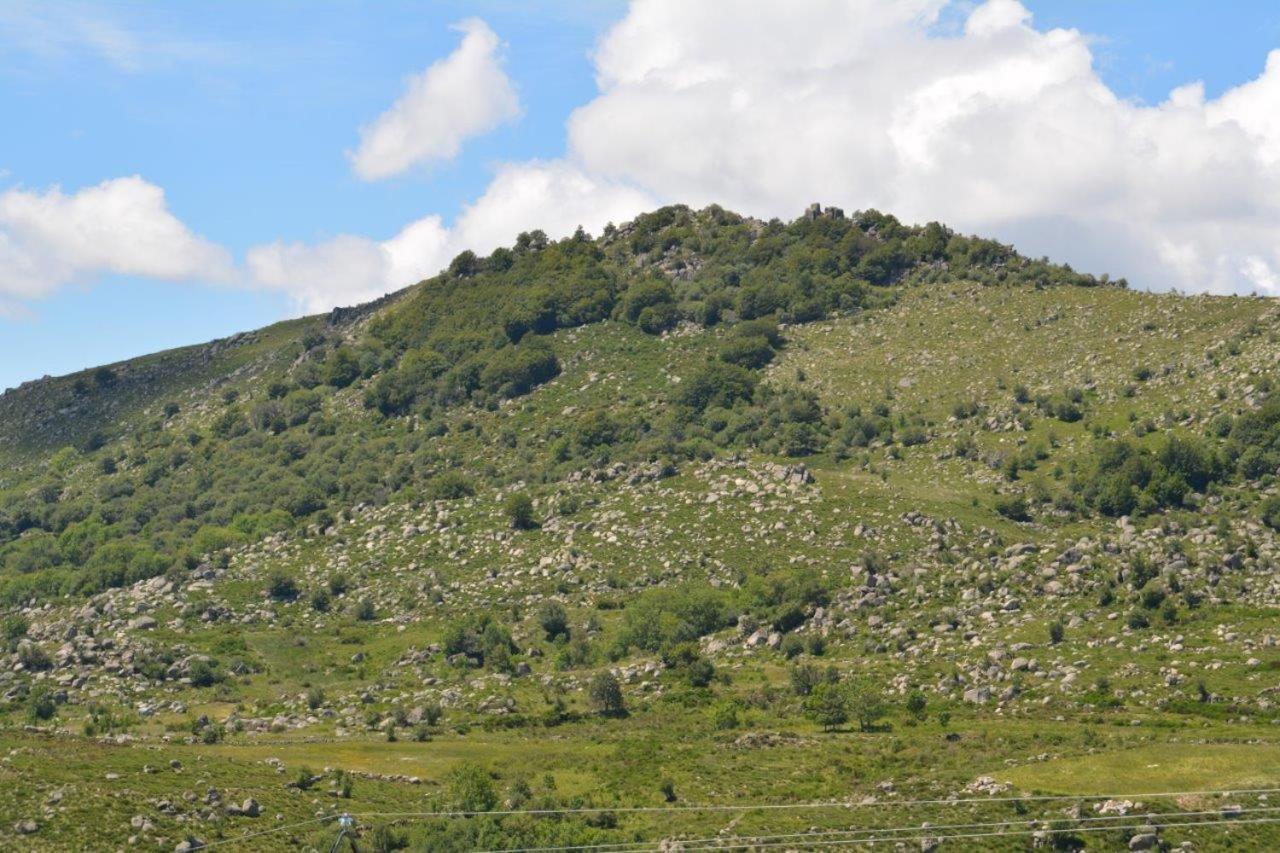 Hébergement de vacances Mont Lozère Le Pont-de-Montvert