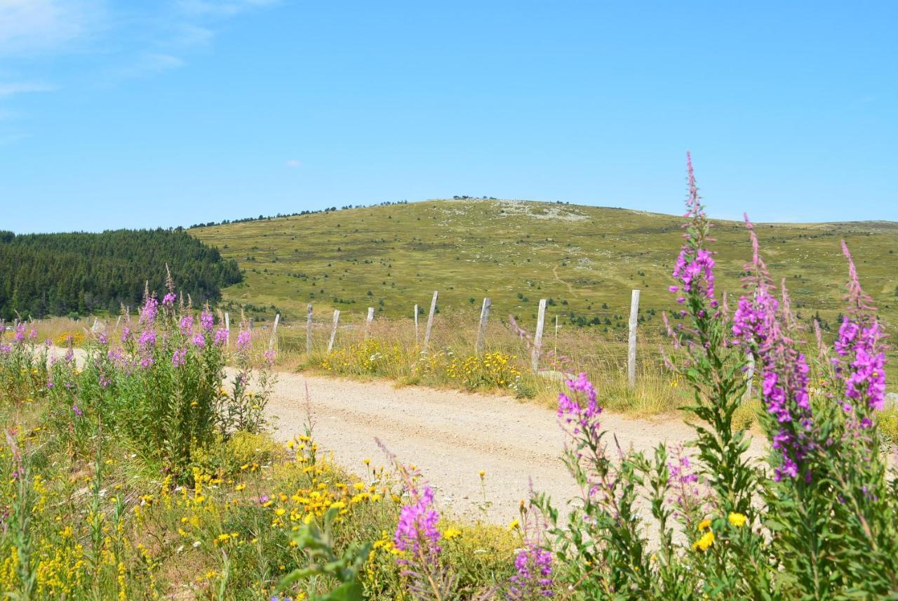 Hébergement de vacances Mont Lozère
