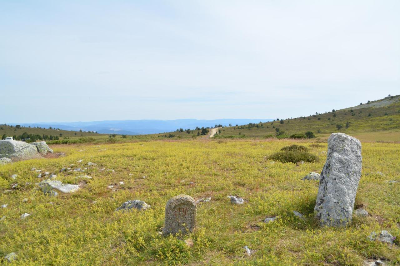 Holiday home Mont Lozere *