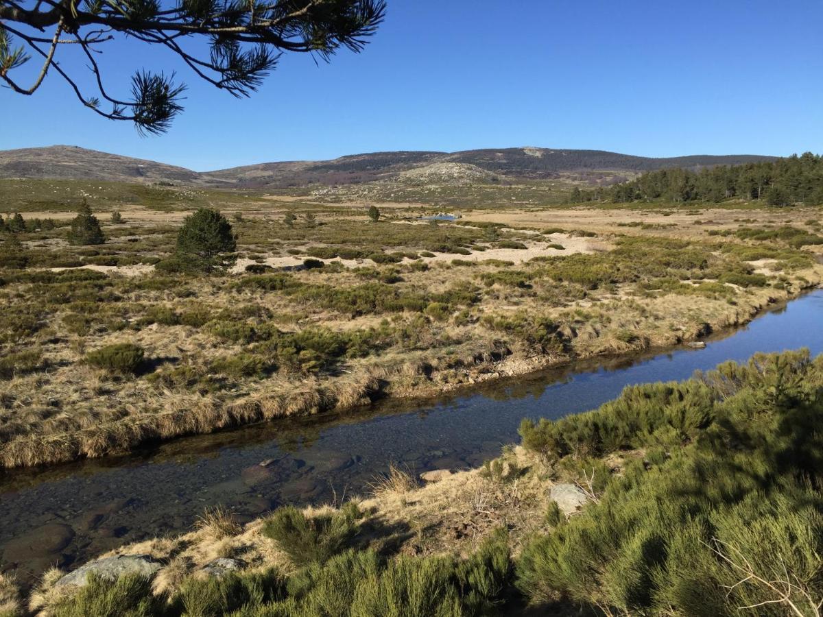 Mont Lozère Hébergement de vacances *